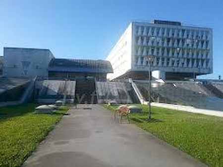 Nos prestations sur le secteur de Landiras proche Bazas et la Gironde